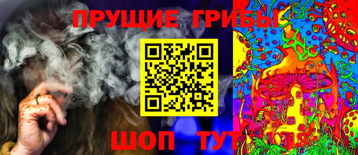 Галлюциногенные грибы Psilocybine cubensis Новый Уренгой